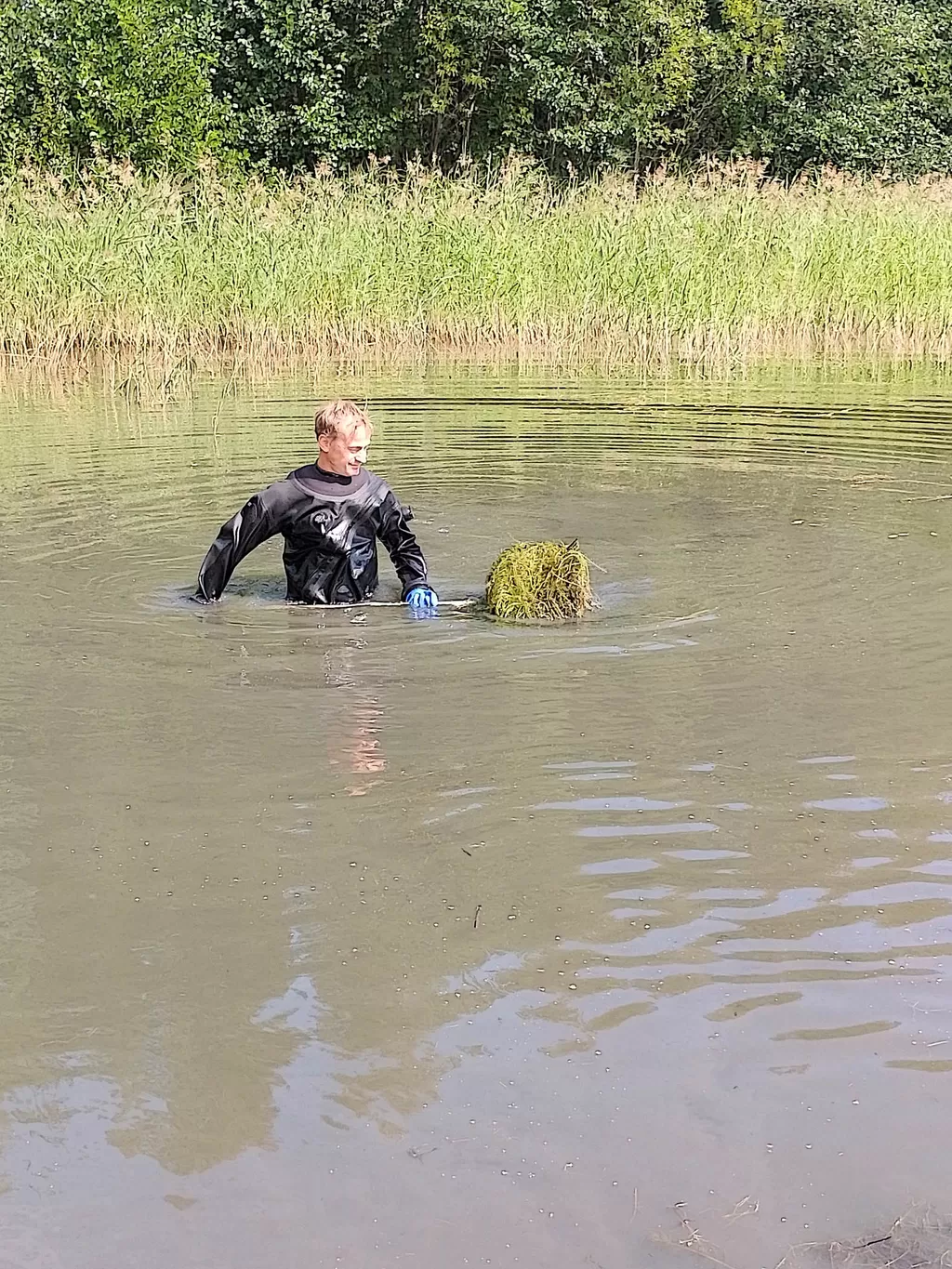 Vieraslajeja ei voi enää täysin hävittää Maskun Rivieralta | Vakka ...